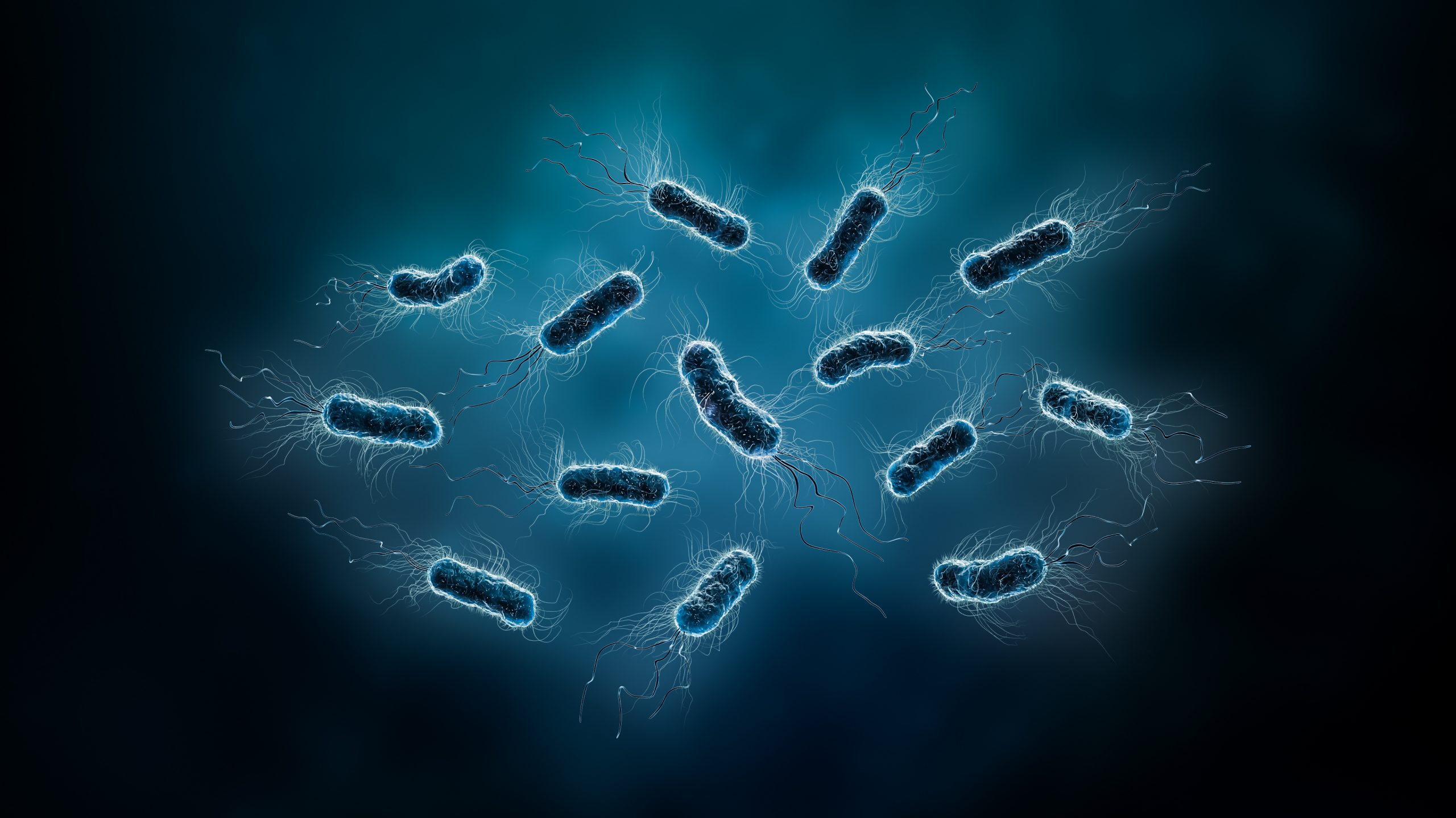 H. Pylori