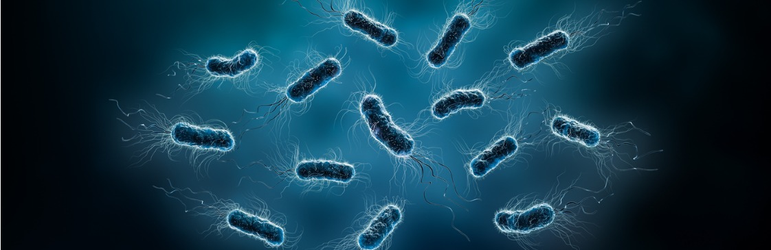 H. Pylori